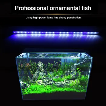 2 Spalvų Akvariumo Žuvų Bakas LED Šviesos Amfibijas Naudoti Balta Mėlyna/ Raudona Mėlyna Žalia Šviesa Spalvų Povandeninis Vandeniui Įrašą Lempos