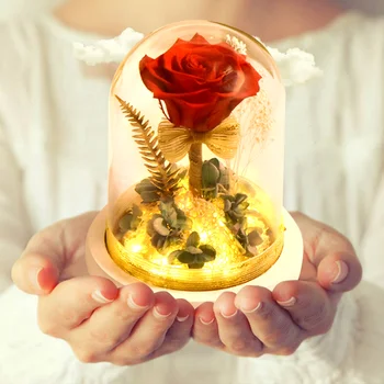 Amžinąjį raudona Rožė Stiklo Kupolas LED Šviesos Dirbtinės Gėlės, Augalai Naktį Žibintai Stalo Lempa Motinos Diena Dovanos Vestuves