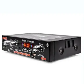 ES/JAV 800W G30 Garso Stiprintuvo Amplificador Skaitmeninių Namų Galios 
