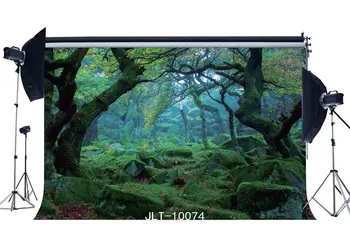 Fotografija Backdrops Pasakos Miško Paslaptingas Medis Pobūdžio Scenos Besiūlių Naujagimiui Fone