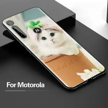 Juokingi kačiukų katė Atveju, Motorola G8 Galia Lite G9 Žaisti G Stylus Vienas Hyper E6s E7 Krašto ir Vieną Fusion+ 5G Galinį Dangtelį Shell Krepšys