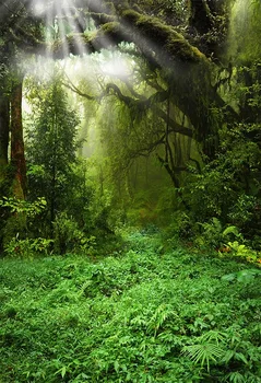 MEHOFOTO fone fotostudija pasakos miško mėnulis džiunglių žalia žolė, medžių fone photocall foto prop profesinės