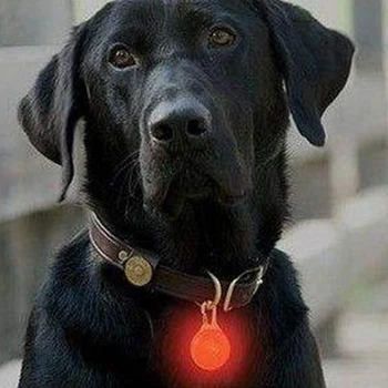 Pet LED Žibintuvėlis Šunų Kačių Antkaklis Žėrintis Pakabukas Naktį Saugos Pet Veda Karoliai Šviesos Šviesi Apdaila Antkakliai Šunims