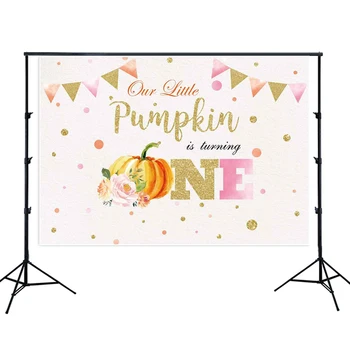 Rožinė moliūgų temą fonas vaikai mergina 1st birthday party baby shower foto fono sienos, stalo Dekoras reklama SM-623
