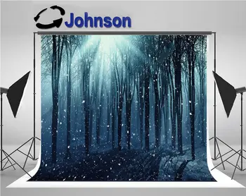 žiemą miške Medžiai Rūkas Snieguotas Saulės foto fonas Aukštos kokybės Kompiuteris spausdinti sienos fotostudijos fono