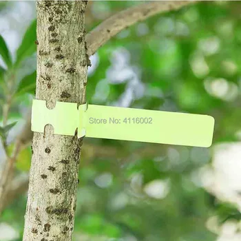 10000 Vnt. Plastikinių Augalų Medžio Žymes Sodo Augalų Lables Augalų Kabinti Žymes Wrap Aplink Vaikų Darželio Sode Etiketės Didelis Raštu