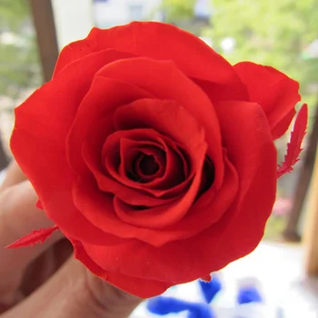 12 Pak Amžinąjį Gėlių, Rožių Gėlių, Dovanų Dėžutėje Namų Puošybai Valentino Diena Dovana 