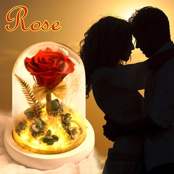 Amžinąjį raudona Rožė Stiklo Kupolas LED Šviesos Dirbtinės Gėlės, Augalai Naktį Žibintai Stalo Lempa Motinos Diena Dovanos Vestuves