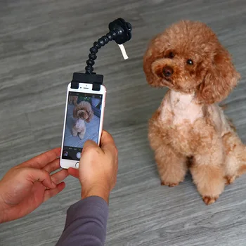 Nešiojamų Pet Selfie Stick Augintiniai, Šuo, Katė tinka 