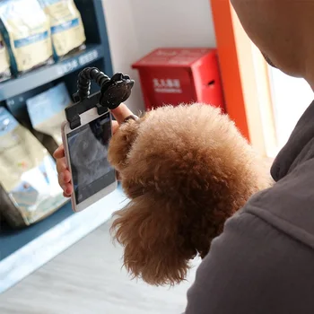 Pet Selfie Stick Šunų, Kačių fotografijos priemonės Naminių gyvūnų Sąveika Žaislai Fotografuoti Portretus iš Jūsų šunelis Priedai Lašas Laivybos