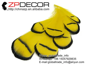 ZPDECOR 200pcs/2 grupė-4inch(5-10cm) Gražus Amatų Nudažyti Geltona Panele Amherst Fazano Plunksnų Tippet