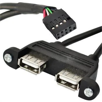 25cm Dvigubas USB 2.0 moterų panel mount - 10P 0.1