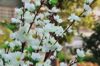 60Pcs Sodo Šalis Dekoro vestuvių papuošalai Gamtos Didelis Dirbtinis Audinys Cherry Blossom Šilko Gėlės 5 Spalva