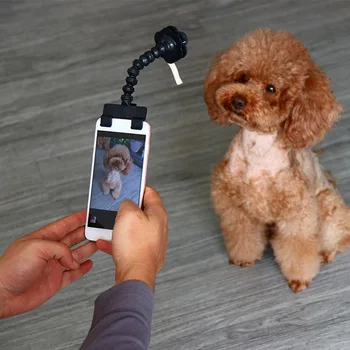 Pet Selfie Stick Šunų, Kačių fotografijos priemonės Naminių gyvūnų Sąveika Žaislai Fotografuoti Portretus iš Jūsų šunelis Priedai Lašas Laivybos