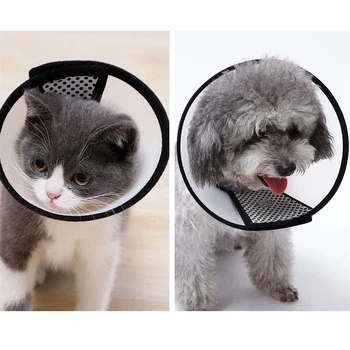 Plastikiniai Kūgio Pet Products Kovos Su Bite Ir Braižymo Elizabeth Antkaklis Katėms Elizabeth Ratas Šuo Apsaugos Grožio Gydymo