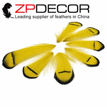 ZPDECOR 200pcs/2 grupė-4inch(5-10cm) Gražus Amatų Nudažyti Geltona Panele Amherst Fazano Plunksnų Tippet