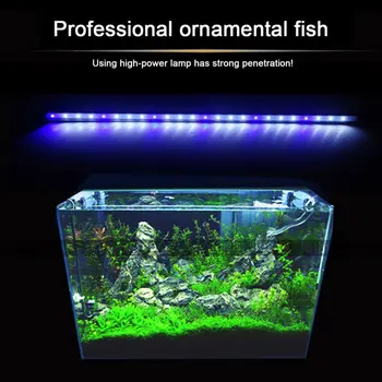 2 Spalvų Akvariumo Žuvų Bakas LED Šviesos Amfibijas Naudoti Balta Mėlyna/ Raudona Mėlyna Žalia Šviesa Spalvų Povandeninis Vandeniui Įrašą Lempos