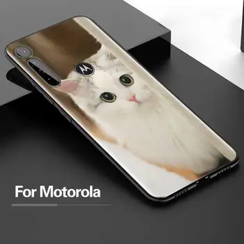 Juokingi kačiukų katė Atveju, Motorola G8 Galia Lite G9 Žaisti G Stylus Vienas Hyper E6s E7 Krašto ir Vieną Fusion+ 5G Galinį Dangtelį Shell Krepšys
