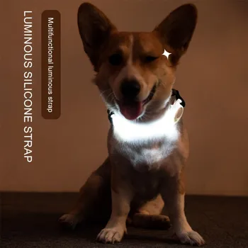 Pet Šviesos Antkaklis Šuniui LED Antkaklis Šviesos Pavadėlio Saugos Nakties Šviesos Anti-Lost Išvengti Nelaimingų atsitikimų Multi-funkcija Virvę Lauko