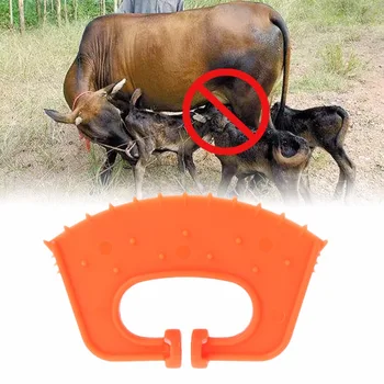 Blauzdos Weaner Galvijai Karvės Nujunkymo Įrankis Ūkio Gyvulių Galvijų Nosies Įrašą Stabdžių Čiulpti Melžimo Sustabdyti Ūkio Gyvūnų Produktai C42