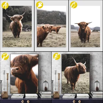 Škotijos Aukštikalnių Karvės Plakatas Dekoratyvinis Nuotrauka Modernios Sienos Meno Tapybos Namų Dekoro Be Rėmelio