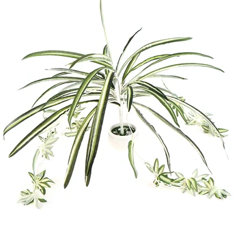 Dirbtinės Gėlės, Augalai Sienos Kabo Chlorophytum Vazoninių Žalieji Augalai PVC Namų Puošybai Naują Atvykimo
