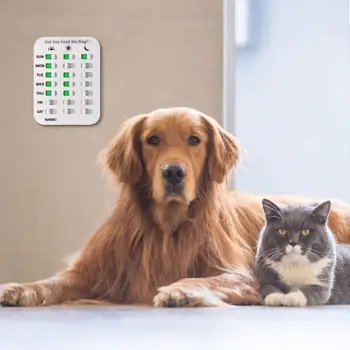 Šėrimo įrašyti Card kortelės, kortelės vaikams ir vyresnio amžiaus šunų šėrimo diagramos Šuo Tiekia Šunų Automatinė Tiektuvai